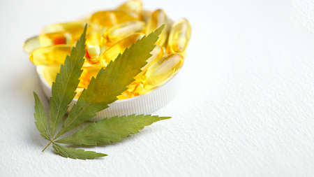 Biological and ecological CBD vegetable oil capsules on white background, Group of transparent CBD cannabidiol capsules. Medical cannabis productsの写真素材