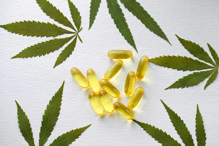 Medical cannabis products, leaf, capsules CBD oil on white background. Pharmaceutical gelatin softgels with biological plant herbal. Organic dietary supplements conceptの写真素材