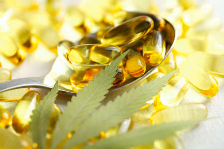 Biological and ecological CBD vegetable oil capsules on white background, Group of transparent CBD cannabidiol capsules. Medical cannabis productsの写真素材