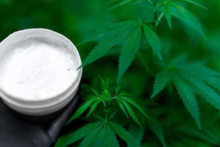 Moisturizing cream in jar with hemp leaves on blurred background. Cosmetic cream for skin care from hemp. natural cosmeticsの写真素材