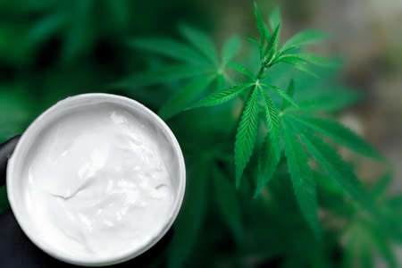 Moisturizing cream in jar with hemp leaves on blurred background. Cosmetic cream for skin care from hemp. natural cosmeticsの写真素材