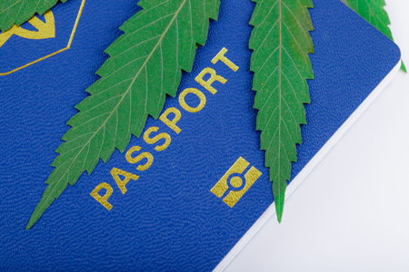 Cannabis or marijuana leaf on the cover of a biometric passport