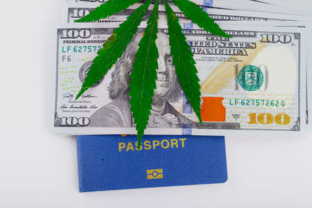 US dollar bills over the green cannabis leaves. money and marijuana. Concept of business, medicine.Cannabis on dollar background. Cover of biometric passportの写真素材