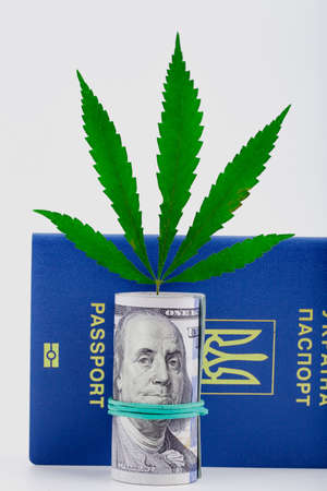 Concept of the sale and purchase of marijuana, the legalization of drugs or drug trafficking. Cannabis on dollar background. Cover of biometric passportの写真素材