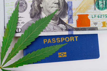 Cannabis on dollar background. money and marijuana. Concept of business, medicine. Cover of biometric passportの写真素材