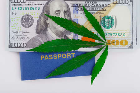US dollar bills over the green cannabis leaves. money and marijuana. Concept of business, medicine.Cannabis on dollar background. Cover of biometric passportの写真素材