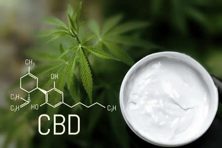 CBD Cannabis Creams for Pain. Cosmetic cream for skin care from hemp. CBD Chemical Formula. Cannabidiol molecular structural chemical formula. natural cosmeticsの写真素材
