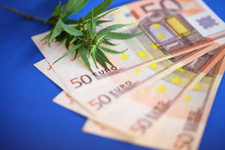 Cannabis and euro banknote, incomes from products made from cannabis concept. Legalization of marijuanaの写真素材