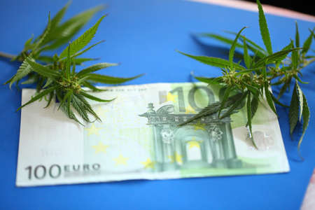 Cannabis and euro banknote, incomes from products made from cannabis concept. Legalization of marijuanaの写真素材