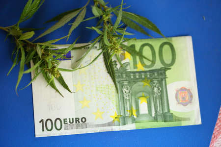 Prosperous business of growing cannabis distribution and sale, Euro banknotes and marijuana herbの写真素材