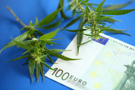 Cannabis and euro banknote, incomes from products made from cannabis concept. Legalization of marijuanaの写真素材