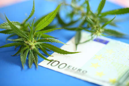 Cannabis and euro banknote, incomes from products made from cannabis concept. Legalization of marijuanaの写真素材