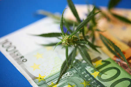 Drug policy, Legalization of marijuana, Cannabis bud with euro banknotes close upの写真素材