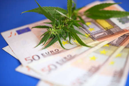 Cannabis and euro banknote, incomes from products made from cannabis concept. Legalization of marijuanaの写真素材