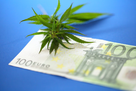Drug policy, Legalization of marijuana, Cannabis bud with euro banknotes close upの写真素材