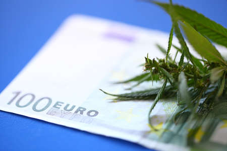 Cannabis and euro banknote, incomes from products made from cannabis concept. Legalization of marijuanaの写真素材