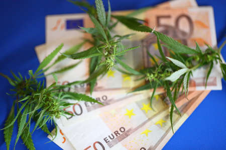 Cannabis and euro banknote, incomes from products made from cannabis concept. Legalization of marijuanaの写真素材