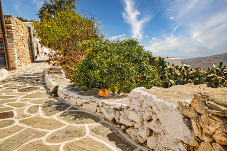 Cycladic architecture Sikinos islandの写真素材