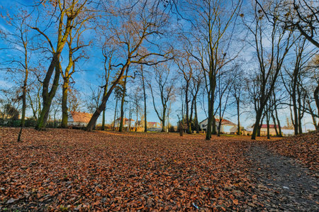 Park with leaves in Wschowaの写真素材