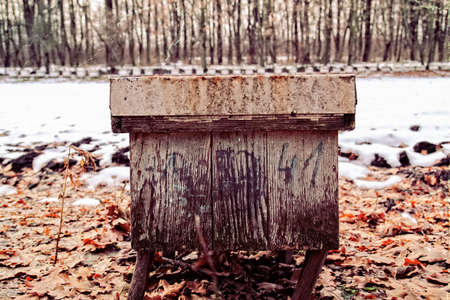 wooden beehive on yellow leaves in winter forestの写真素材