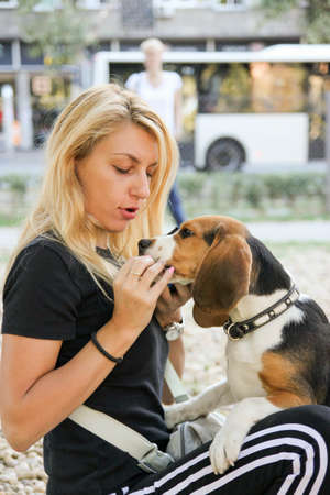 beautiful young woman holding and feeding beagle puppy dogの写真素材