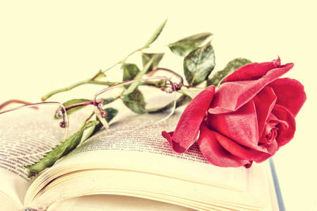 Open book and red rose with glasses on pages of book, romantic vintage old look, poetry conceptの写真素材