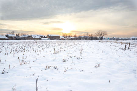 Winter's Tale. Winter landscape with snowy countryside village next to cornfield covered in white snow cover at sunset or sunrise. Rural village home in winter timeの写真素材