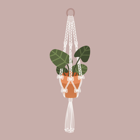 Macrame flower potのイラスト素材