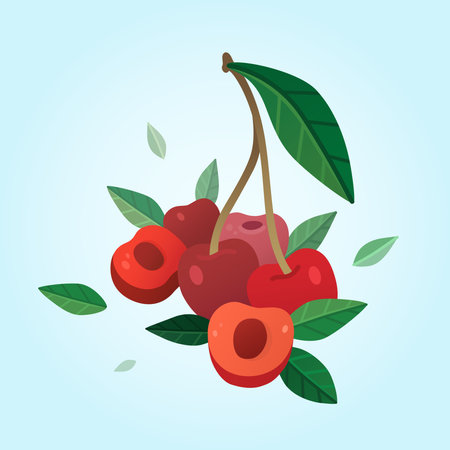 Group of cherry berriesのイラスト素材