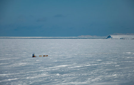 Traveling, outdoor activities and dog sledding in Kamchatka