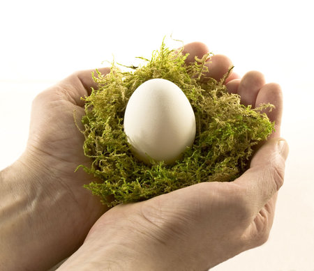two hands cradling an egg in a nestの写真素材