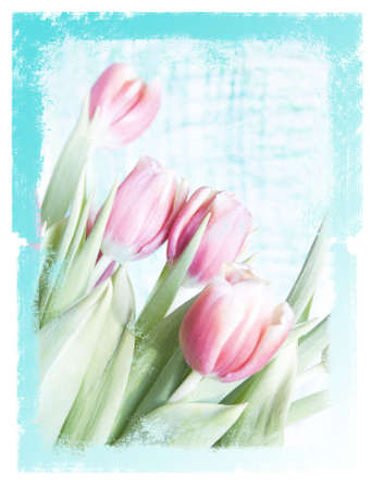 grungy floral backgroundの写真素材