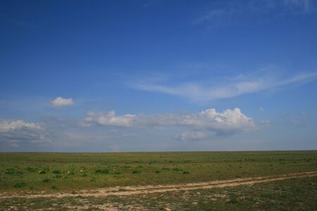  steppe landscapeの写真素材