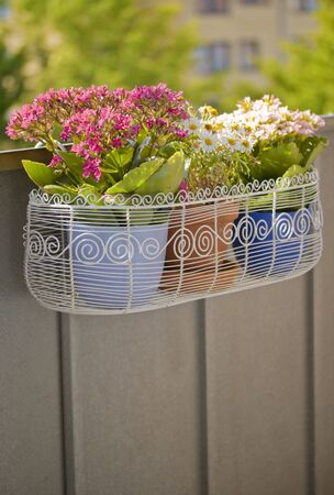 white metal flower basket on a balconyの写真素材