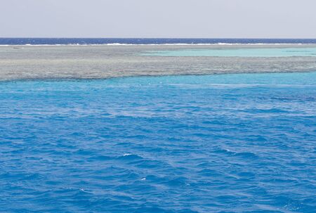patch of coral reef in the crystal waters of the Red Seaの写真素材