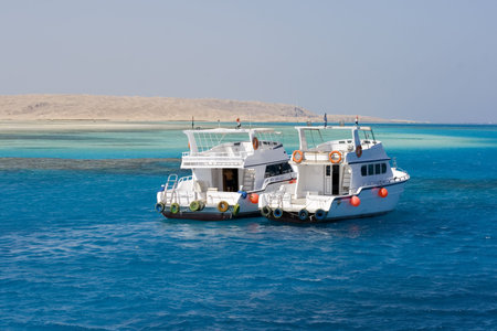 yachts anchored outside Giftin Island in the Red Sea