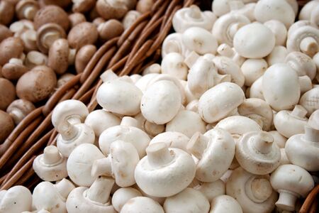 A group of tasty freshly picked mushrooms piled into wicker baskets.の写真素材