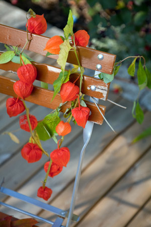 Japanese/Chinese lantern draped over a garden chairの写真素材
