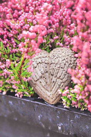Image of pink heather and a concrete heart.の写真素材
