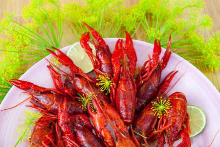 Image of a plate of crayfish and dill.の写真素材