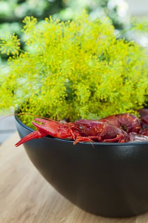 Image of a pot of fresh crayfish and dill.の写真素材
