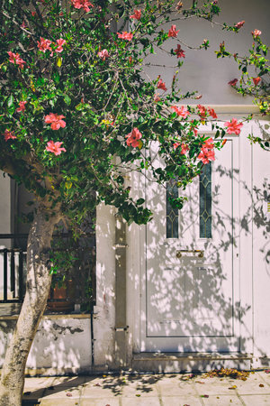 Image of a white front door. Crete, Greece.