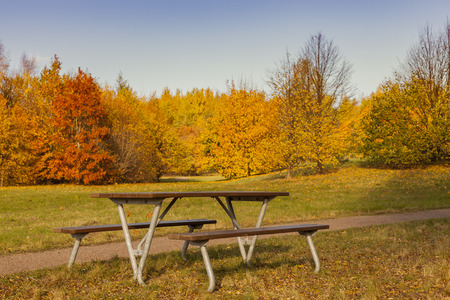Image of park bench in lovely autumn setting.の写真素材
