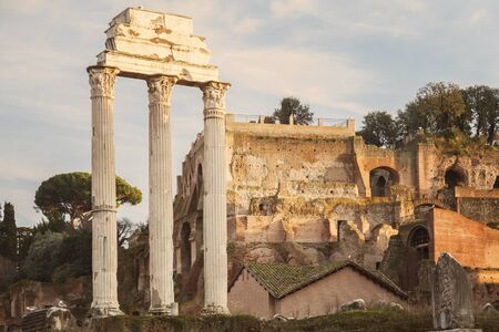 ROME, ITALY - JANUARY 07, 2014. View of the Roman Forum archaeological park ruins.のeditorial素材