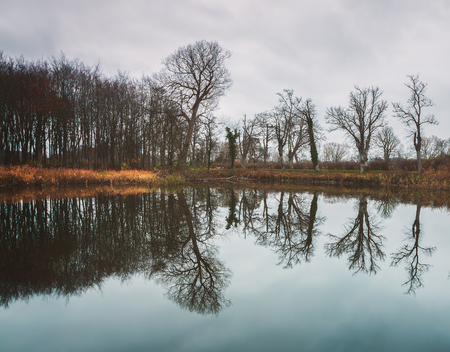 Tree reflections in lake at winter. Denmark.の写真素材