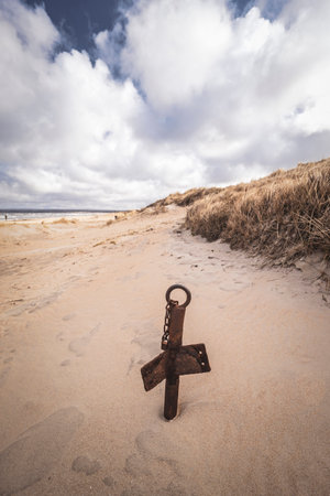 Grassy sand dunes with anchor.の写真素材