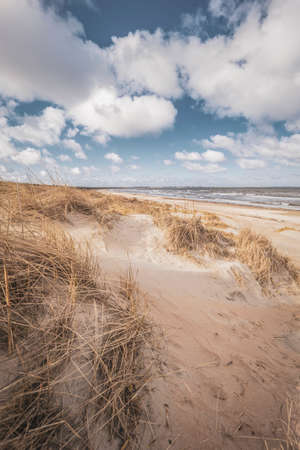 Grassy sand dunes at Swedish beach.の写真素材