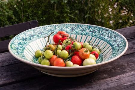 Fresh crop of green and red organic tomatoes on the vine, on a vintage rusitic plate.の写真素材