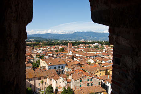 Red rooftops of Lucca の写真素材