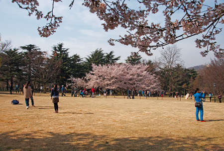 Tourists in the parkのeditorial素材